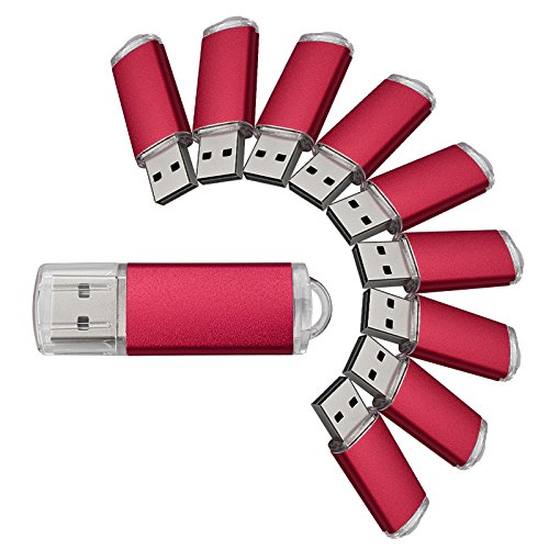 VICFUN 10 Pack 2GB USB Flash Drives 2GB Flash Drive Pack USB 2.0 USB Memory Stick-Red