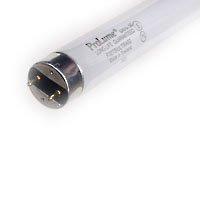 Halco 109428 F32T8/865/ECO F32 T8 Bulb 6500K 4 Foot Light Lighting Fluorescent Tube Case of 25