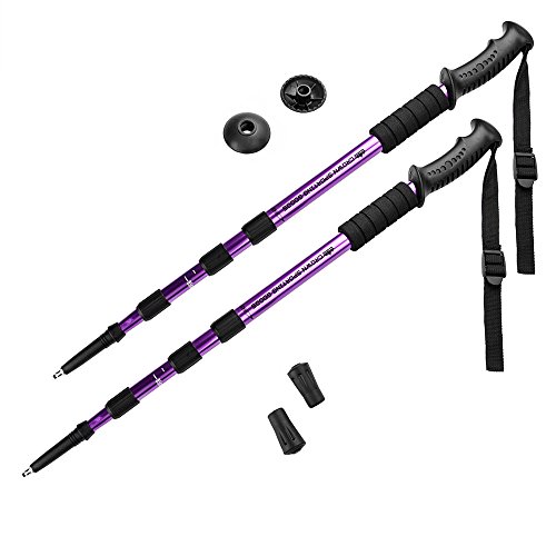 Crown Sporting Goods Shock-Resistant Adjustable Trekking Pole and Hiking Staff (Set of 2), Purple, 43-Inch