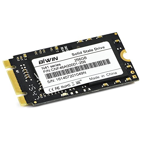 Biwin NGFF M.2 2242 256GB SSD 42mm N41 SATA III Internal Solid State Drive with Read (Max) 547 MB/s for Ultrabook/Tablet/Two-in-one PC