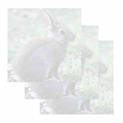 Rabbit Sticky Notes – Set of 3 – Wildlife Animal Theme Design – Stationery Gift – Paper Memo Pad – Office and School Supplies