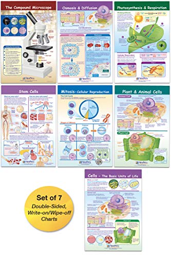 NewPath Learning Cells Bulletin Board Charts, Set/7 – Laminated, Double-Sided, Full-Color, 12″ x 18″ (94-7001)