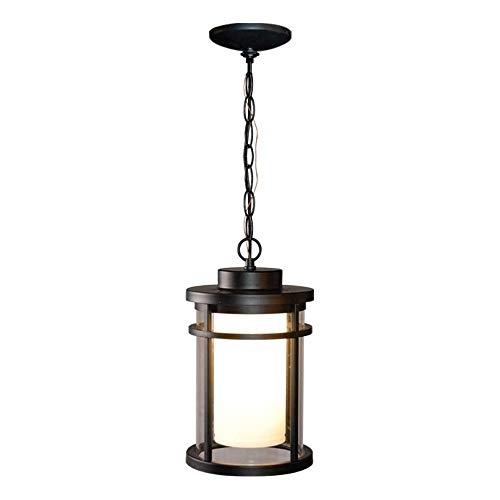 Home Decorators Collection Black Outdoor LED Hanging Light