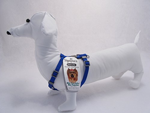 Petmate Adjustable Mini Dog Harness, Royal Blue, 3/8″ x 8-14″