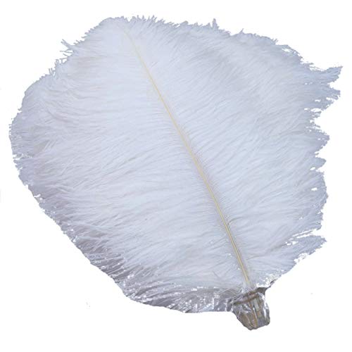 Sowder 50pcs Natural 8-10inch(20-25cm) Ostrich Feathers Home Wedding Decoration(White)
