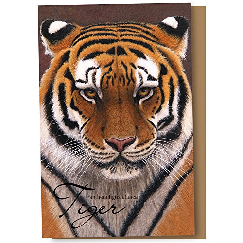 Tree-Free Greetings EcoNotes 12 Count Siberian Tiger All Occasion Notecard Set with Envelopes, 4 x 6 Inches (FS66732)