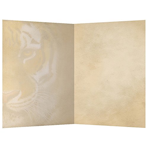 Tree-Free Greetings EcoNotes 12 Count Siberian Tiger All Occasion Notecard Set with Envelopes, 4 x 6 Inches (FS66732) | The Storepaperoomates Retail Market - Fast Affordable Shopping