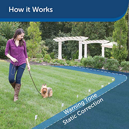 PetSafe Stubborn Dog In-Ground Pet Fence for Dogs and Cats – from The Parent Company of Invisible Fence Brand – Boundary Wire Not Included – Pick Your Wire Gauge Separately | The Storepaperoomates Retail Market - Fast Affordable Shopping