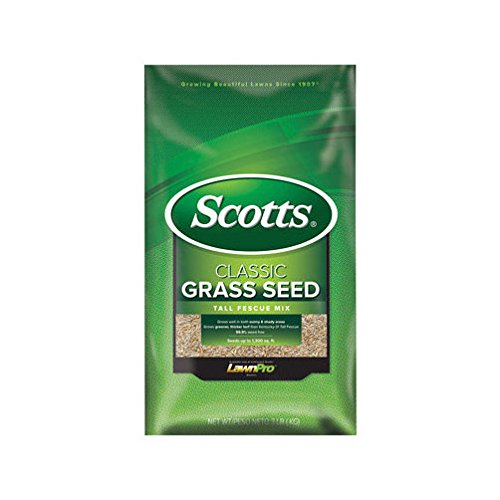 Scotts Classic Tall Fescue Grass Seed