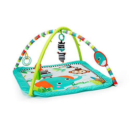 Bright Starts Zig Zag Safari Activity Gym and Play Mat with Take-Along Toys, Ages Newborn +