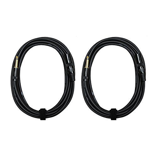 Audio 2000s E05112P2 1/4 Inch TS to XLR Male 12 Feet 2 Pack Audio Cable (12 Feet)