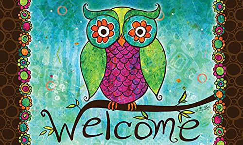 Toland Home Garden 800004 Rainbow Owl Welcome Door Mat 18×30 Inch Bird Outdoor Doormat for Entryway Indoor Entrance