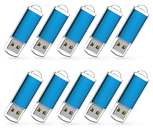 RAOYI 10 Pack 1GB 1G USB Flash Drive USB 2.0 Memory Stick Bulk Thumb Drive Pen Drive Blue