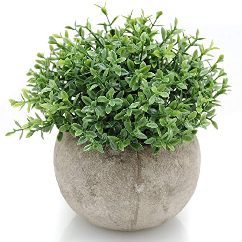 Velener Mini Sage Green Potted Boxwood Topiary Artificial Plants for Home Decor Indoor, Farmhouse House Plant Office Small Desk Shelf Apartment Coffee Bar Bathroom Decor Guest Room, Small Fake Plant