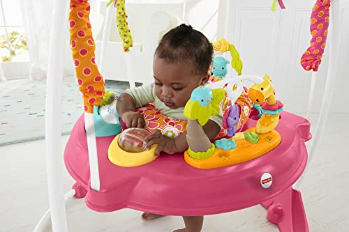 Fisher-Price Baby Bouncer Pink Petals Jumperoo Activity Center with Music Lights Sounds and Developmental Toys | The Storepaperoomates Retail Market - Fast Affordable Shopping