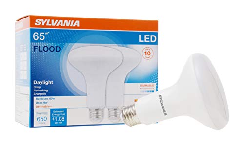 SYLVANIA LED Flood BR30 Light Bulb, 65W=9W, 10 Year, Medium Base, 650 Lumens, Dimmable, 5000K, Daylight – 2 Pack (73956)