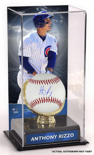 Anthony Rizzo Chicago Cubs Autographed Baseball and Gold Glove Display Case with Image – Autographed Baseballs