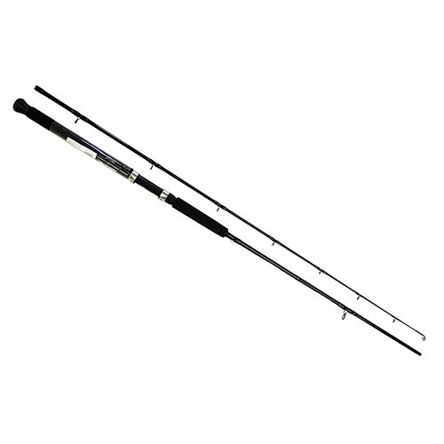 ACCUDEPTH TROLLING Rod, Sections= 2, Line Wt.= 10-20