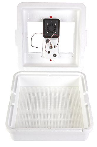 Little Giant Digital Circulated Air Incubator (41 Eggs) Egg Incubator with Fan and Temperature and Humidity Control (Item No. 10300)