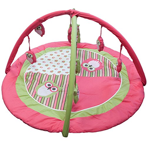 Pam Grace Creations 6 Piece Sweet Dream Owl Play Gym, Pink (PG-OWL)