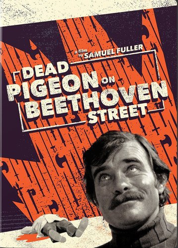 Dead Pigeon on Beethoven Street