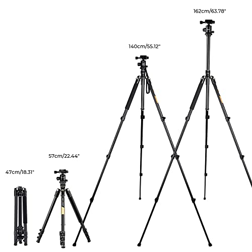 K&F Concept 64”/162cm DSLR Tripod,Lightweight and Compact Aluminum Camera Tripod with 360 Panorama Ball Head Quick Release Plate for Travel and Work B234A1+BH-28 (TM2324) | The Storepaperoomates Retail Market - Fast Affordable Shopping