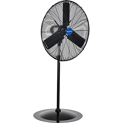 Global Industrial Outdoor Oscillating Pedestal Fan, 30″ Diameter, 3/10HP, 8400CFM