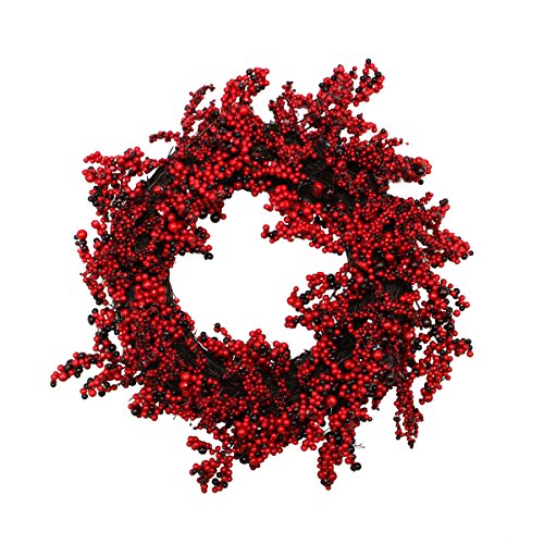 Northlight Red and Brown Artificial Berry Christmas Wreath, 22-Inch Unlit
