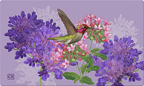 Toland Home Garden 800238 Hummingbird and Flowers Summer Door Mat 18×30 Inch Bird Outdoor Doormat for Entryway Indoor Entrance