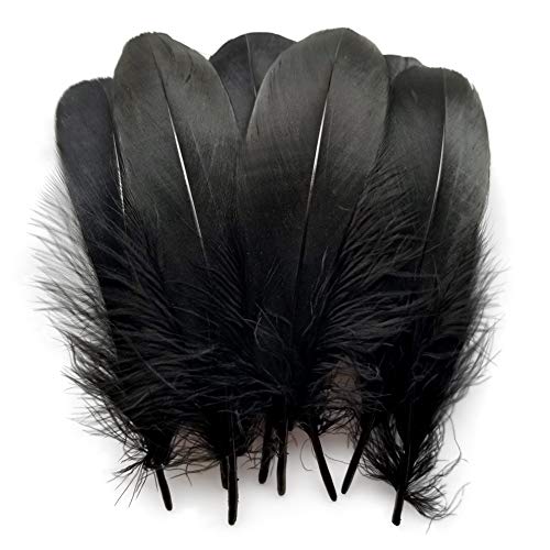 Sowder Natural Goose Feathers Clothing Accessories Pack of 100(Black)