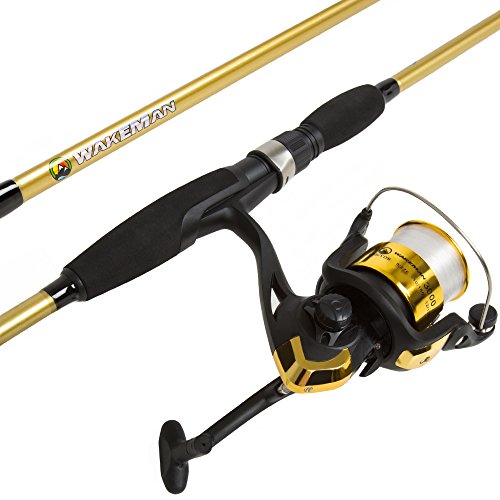 Fishing Rod and Reel Combo – 2pc Strike Series Medium Action 78-Inch Spinning Reel Fishing Pole – Fishing Gear for Bass and Trout by Wakeman (Gold)