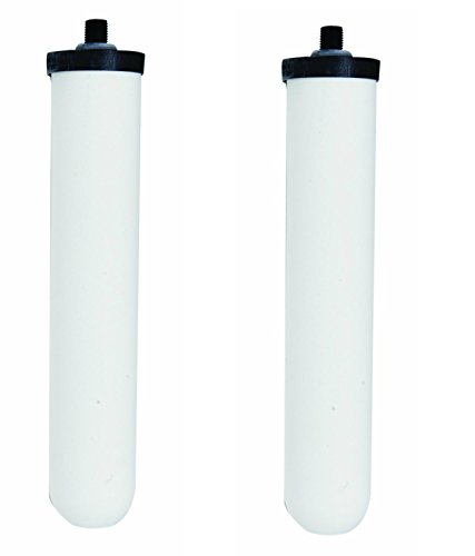 Mountain Plumbing 661RFC Mountain Pure Replacement Cartridge for Water Filtration System. [Two Pack]