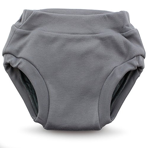 Kanga Care Ecoposh OBV Reusable Pull Up Toddler Underwear Potty Training Pants | Glacier Large 3T