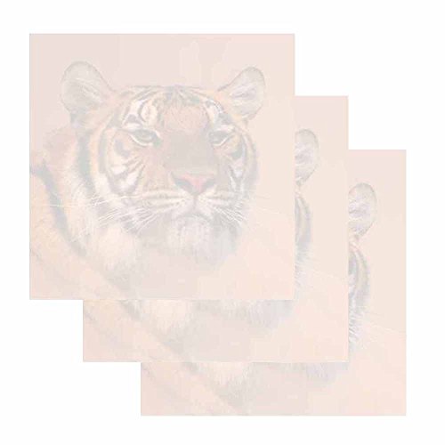 Tiger Face Sticky Notes – Set of 3 – Wildlife Animal Theme Design – Stationery Gift – Paper Memo Pad – Office and School Supplies