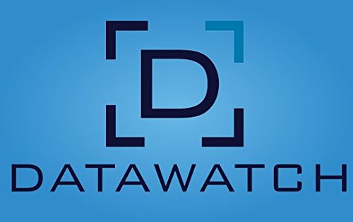 Datawatch Monarch Professional Version 6 [Win] Software