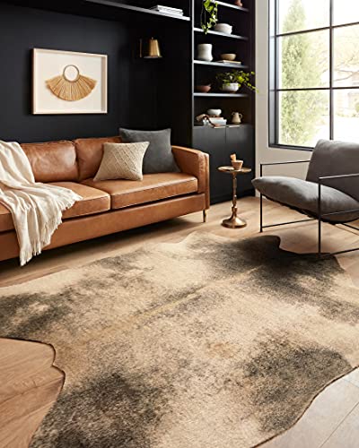 Loloi II Grand Canyon Collection GC-13 Beige/ASH, Transitional 6′-2″ x 8′ Area Rug