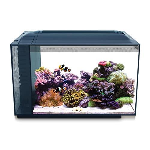 Fluval Evo XII Saltwater Aquarium Kit, 13.5 Gal. – Saltwater Fish Tank with Reef-Capable LED, Efficient 3-Stage Filtration and Seamlessly Integrated Hardware