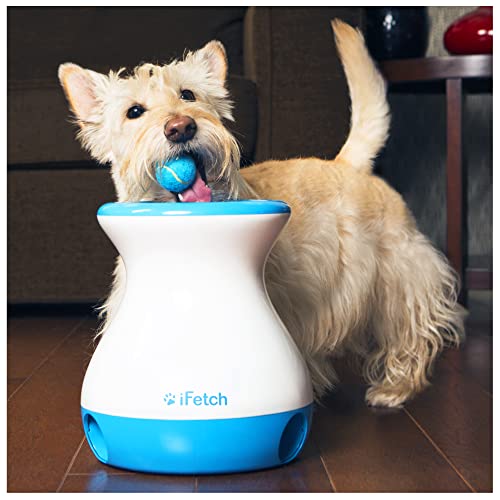 iFetch Frenzy Fetch Toy for Dogs – Non-Electronic Brain Teaser for Small Dogs; uses Mini Tennis Balls