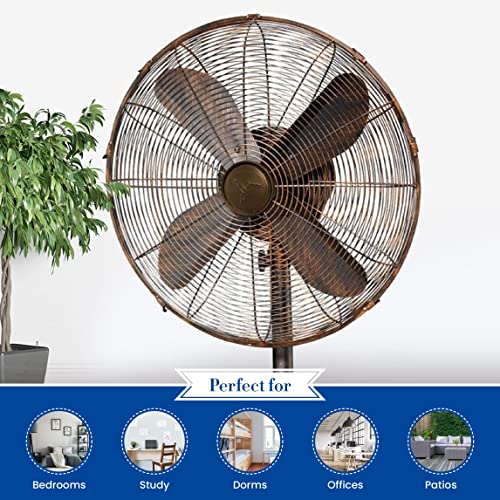 Designer Aire Oscillating Indoor/Outdoor Standing Floor Fan for Cooling Your Area Fast – 3-Speeds, Adjustable 40-51 Inches in Height, Fits Your Home Decor | The Storepaperoomates Retail Market - Fast Affordable Shopping