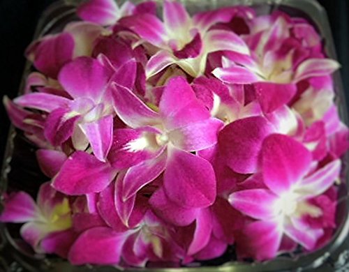 Fresh Loose Purple Dendrobium Orchid Blossoms 50 ct.