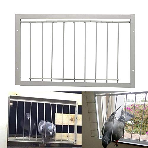 26cm(Tall)*30cm(Long) T-Trap for Pigeon Birds House Door