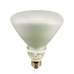 Replacement for GE General Electric G.E FLE26/2/DV/R40 Light Bulb by Technical Precision