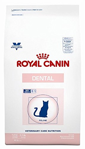 Royal Canin Veterinary Care Nutrition Feline Dental Dry Cat Food, 12 oz