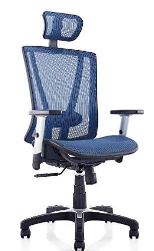Ergomax Office MSH112BL Ergonomic Height Adjustable Home Office All Mesh Desk, Lumbar Support & Back Relief Breathable Chair, 53 Inch Max, Blue