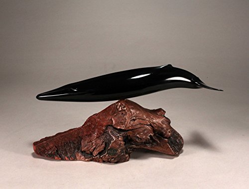 Fin Whale Sculpture from John Perry 14 in Long on Burlwood Statue”Ebonite”