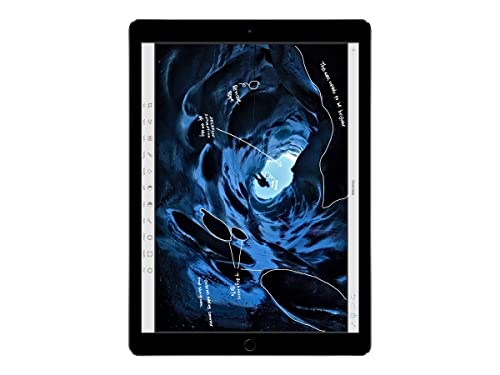 Apple iPad Pro 12.9in Tablet (256GB Wi-FI, Space Gray)(Renewed)