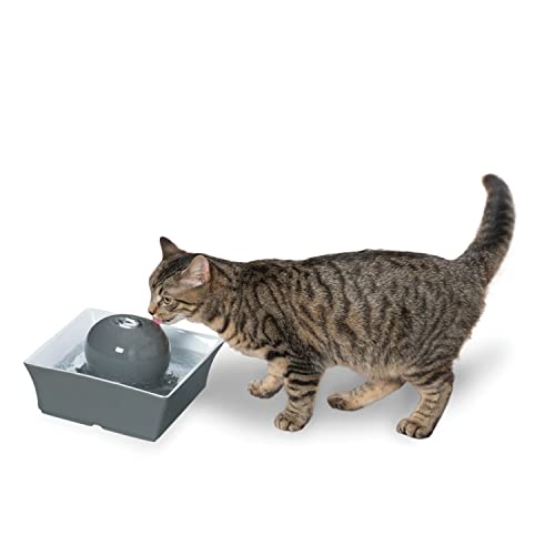 PetSafe Drinkwell Seascape Ceramic Pet Water Fountain – Quiet Automatic Water Dispenser for Cats and Small Dogs with Filters Included – 70 Ounce (2 Liter) – Dishwasher Safe – Square Modern Design