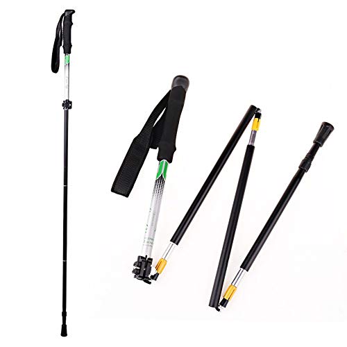Travel Folding Trekking Hiking Pole with Carrying Case,Collapsible Cane Adjustable Walking Stick Portable Mobility Aid for Women Men Hikers Gift,Black (Black)