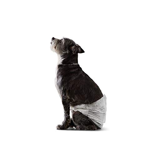 Amazon Basics Male Dog Wrap, Disposable Diapers for Male Dog Only, Small – Pack of 30