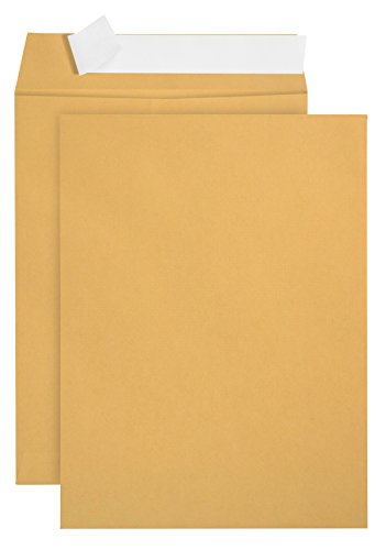 100 6 x 9 Self Seal Golden Brown Kraft Catalog Envelopes – Oversize 6 x 9 Envelope Peel and Seal Flap with 28 Pound Kraft Paper Envelopes – Printer Friendly Design – 100 Count